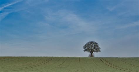 What Melancholy Teaches Us About Ourselves .